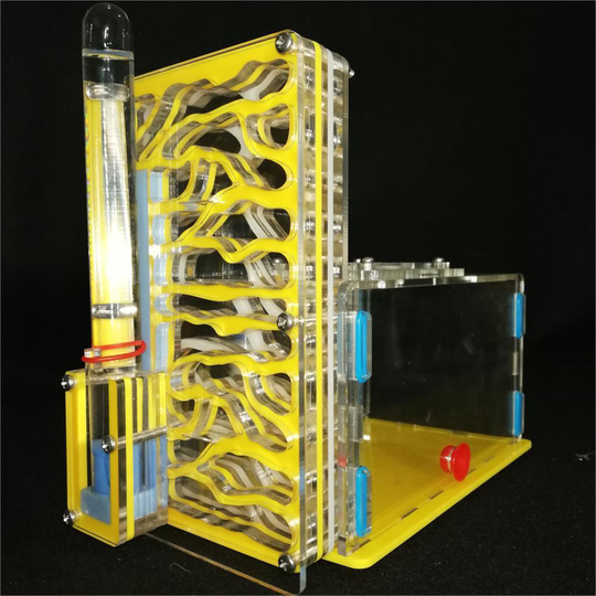 T design DIY with feeding area ant nest ,ant farm acryl, insect ant nests vill