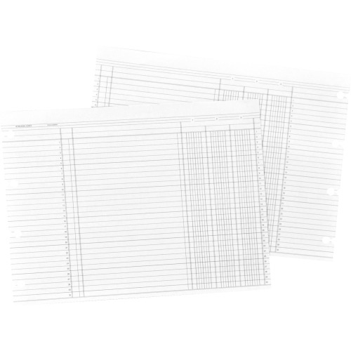 Wilson Jones Balance Ledger Paper