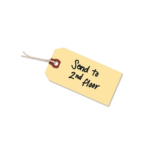 Strung Shipping Tags