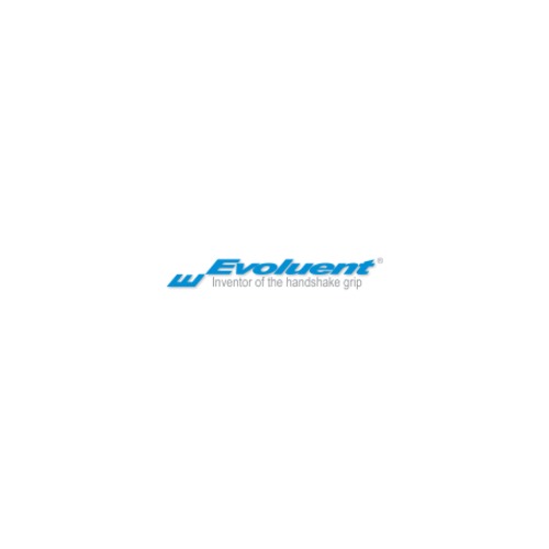 Evoluent Vertical Mouse D, Right Wireless Small