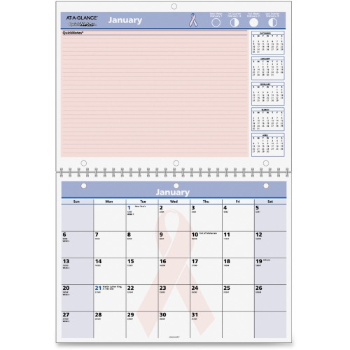 At-A-Glance QuickNotes Special Edition Monthly Wall Calendar
