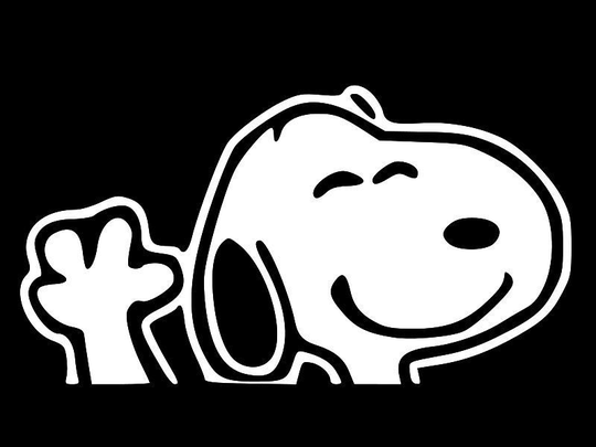 SNOOPY Charlie Brown Vinyl Decal Car Window Wall Sticker CHOOSE SIZE COLOR