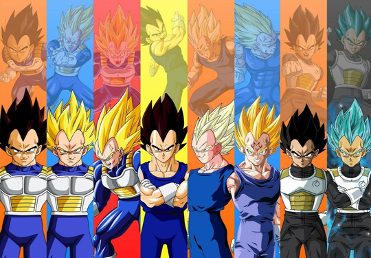 Vegeta Grid Poster | Dragon Ball | All Forms Transformations | NEW | USA