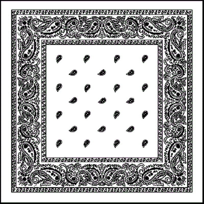 WHITE Paisley Classic BANDANA Head Face Wrap Mask Neck Scarf Hanky Scarves hanky