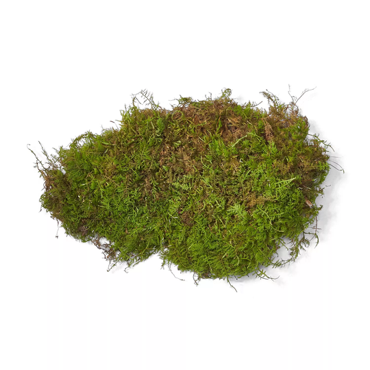 Sheet Moss (10 lb. box)
