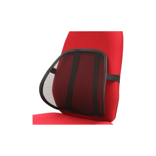 Lorell Ergo Mesh Lumbar Back Support