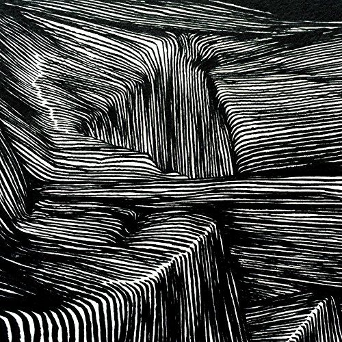 Magnetic Bodies/Maps of Bones [LP] - VINYL