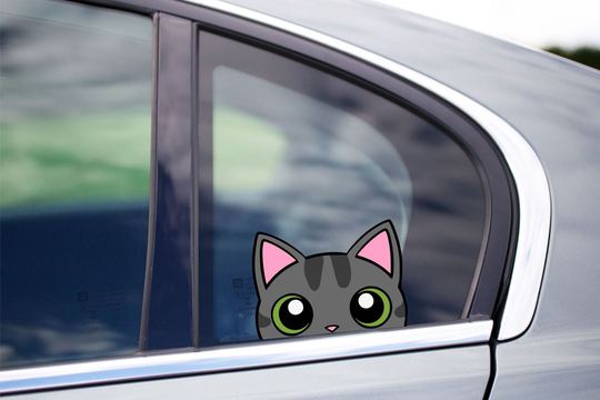 Tabby Cat Peeking Peek Peekers Bumper Window Vinyl Decal Kitten Pet Stickers