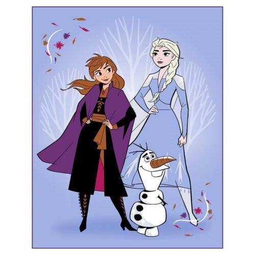 FROZEN KIDS GIRLS DISNEY PLUSH BLANKET SOFTY AND WARM TWIN (60"x80")