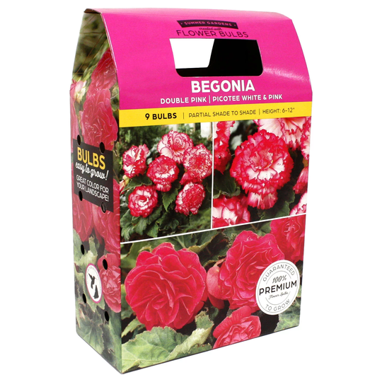 Begonia/Oxalis - Package of 9 dormant Bulbs