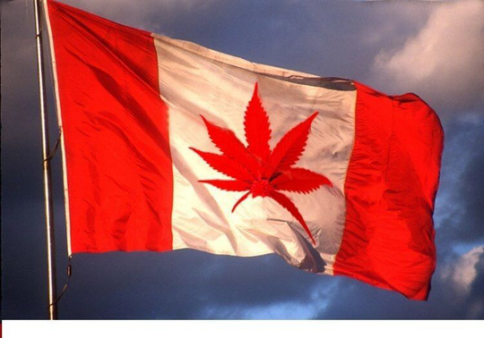 CANADA Canadian MARIJUANA POT WEED 3x5 SuperPoly In/Outdoor FLAG Banner USA MADE
