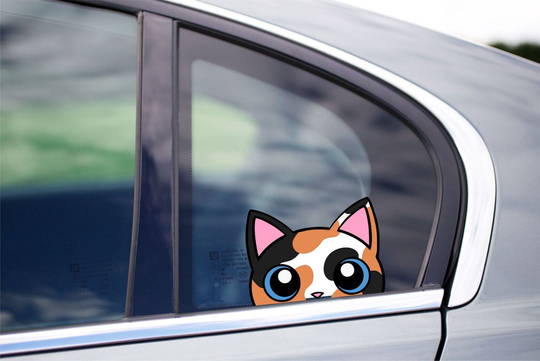Calico Cat Peeking Peek Peekers Bumper Window Vinyl Decal Kitten Pet Stickers
